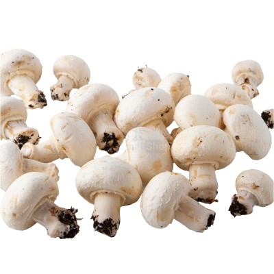 Шампиньоны свежие 500 г - купить в Койтах